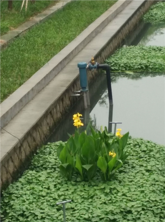 龍鐵沉水式鼓風(fēng)機(jī)