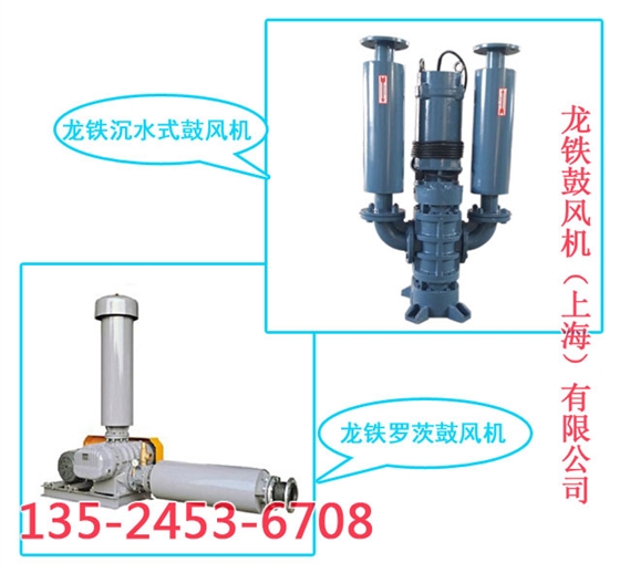 龍鐵黑臭河道治理羅茨鼓風(fēng)機