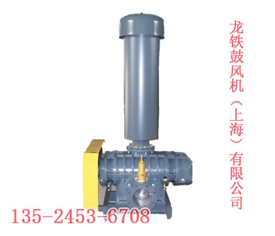 煤氣專用羅茨鼓風(fēng)機(jī)