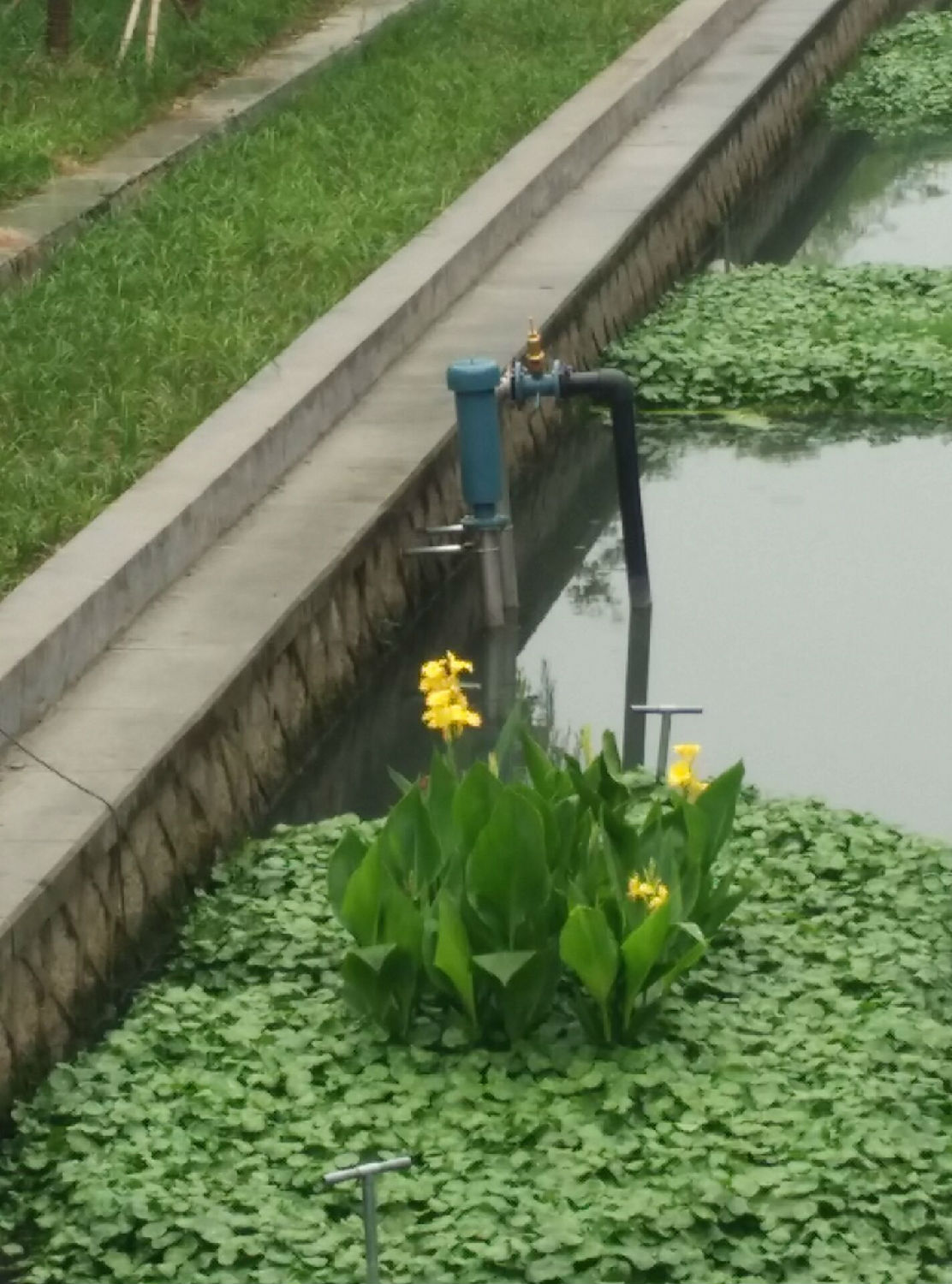 龍鐵沉水式鼓風(fēng)機(jī)