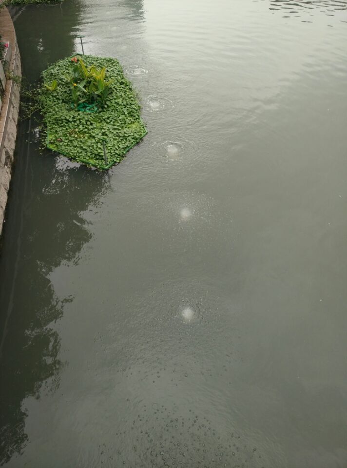龍鐵沉水式鼓風(fēng)機(jī)廠家