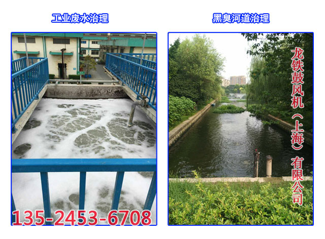 污水處理鼓風(fēng)機實用案例