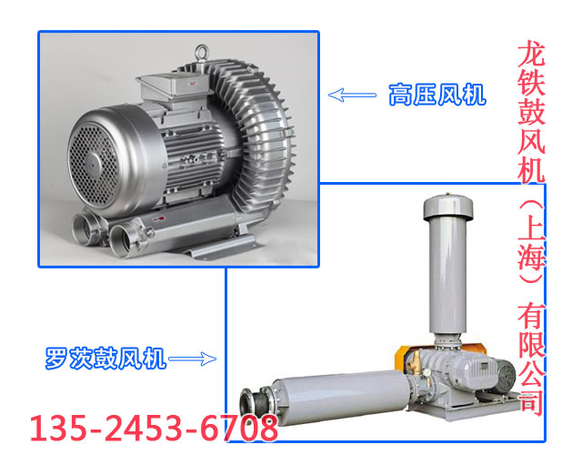 羅茨鼓風(fēng)機