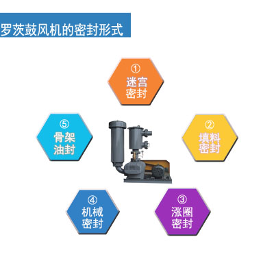 羅茨鼓風(fēng)機密封形式 3.16.jpg