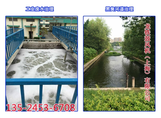 沉水風(fēng)機(jī)應(yīng)用案例節(jié)選