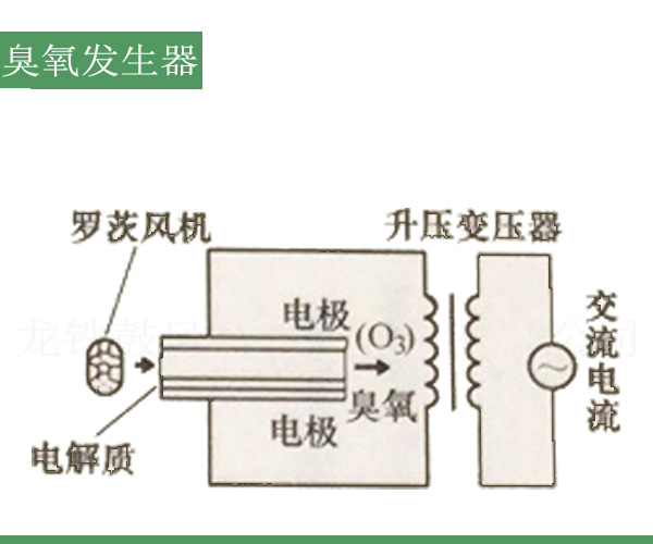 臭氧發(fā)生器羅茨風機.jpg