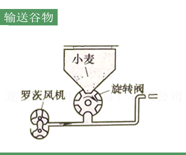 輸送谷物羅茨鼓風機.jpg