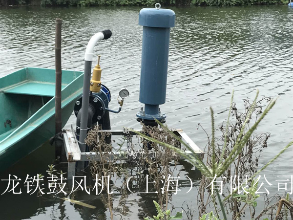 龍鐵沉水式鼓風(fēng)機(jī)多少錢？.jpg