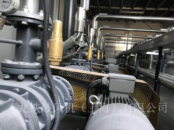 羅茨鼓風機正負荷運行.jpg