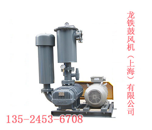 臺(tái)灣進(jìn)口羅茨真空泵.jpg