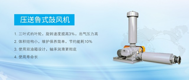 龍鐵鼓風(fēng)機(jī)--中國羅茨鼓風(fēng)機(jī)供應(yīng)商